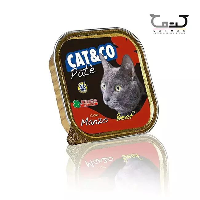 خوراک کاسه ای گربه با طعم گوشت گاو cat&co