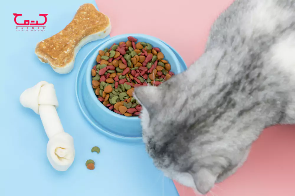 چه غذاهایی برای گربه مضر است