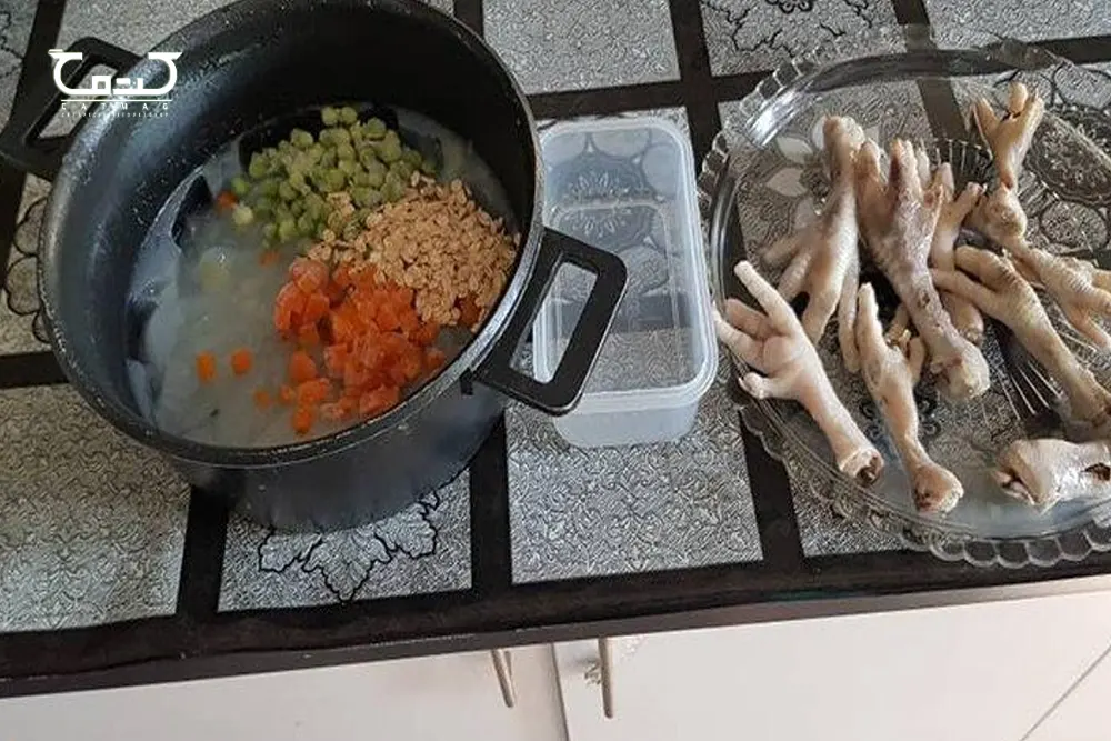 روش های درست کردن غذای خانگی گربه